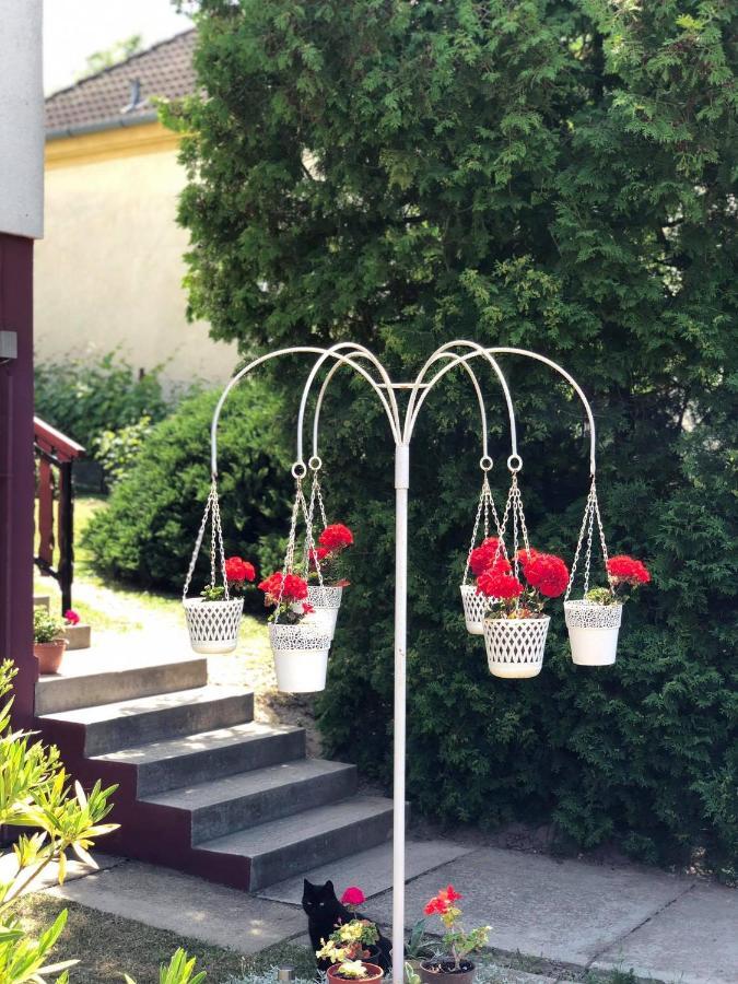 Major Csalad Apartman Hévíz Εξωτερικό φωτογραφία